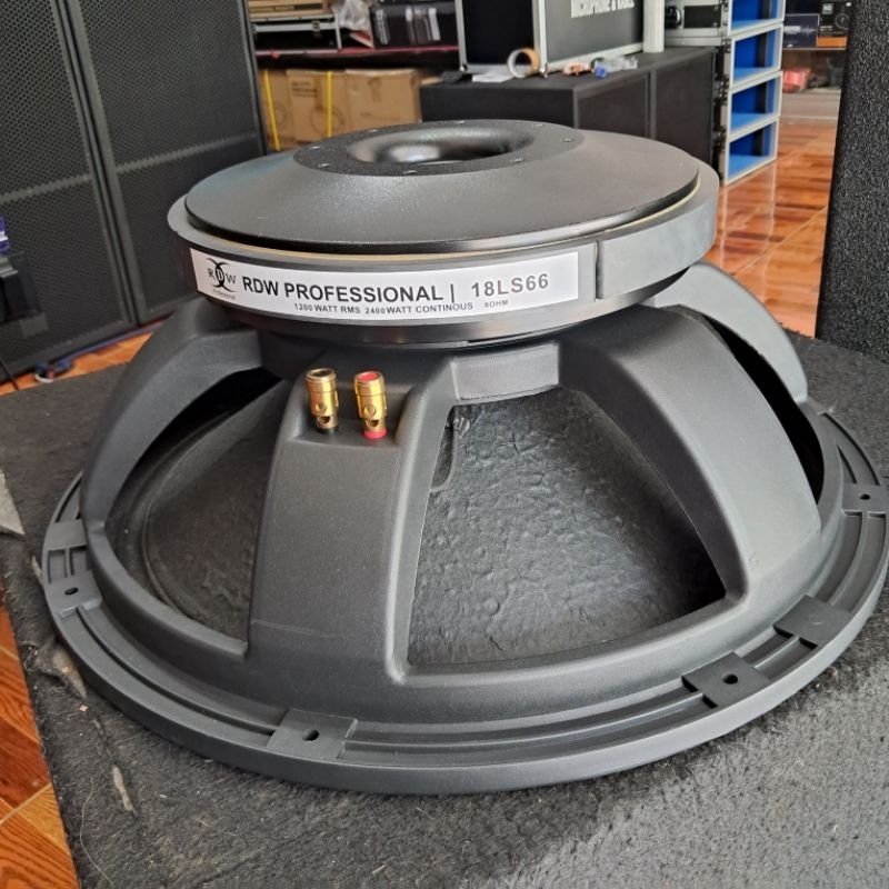SPEAKER RDW 18LS66