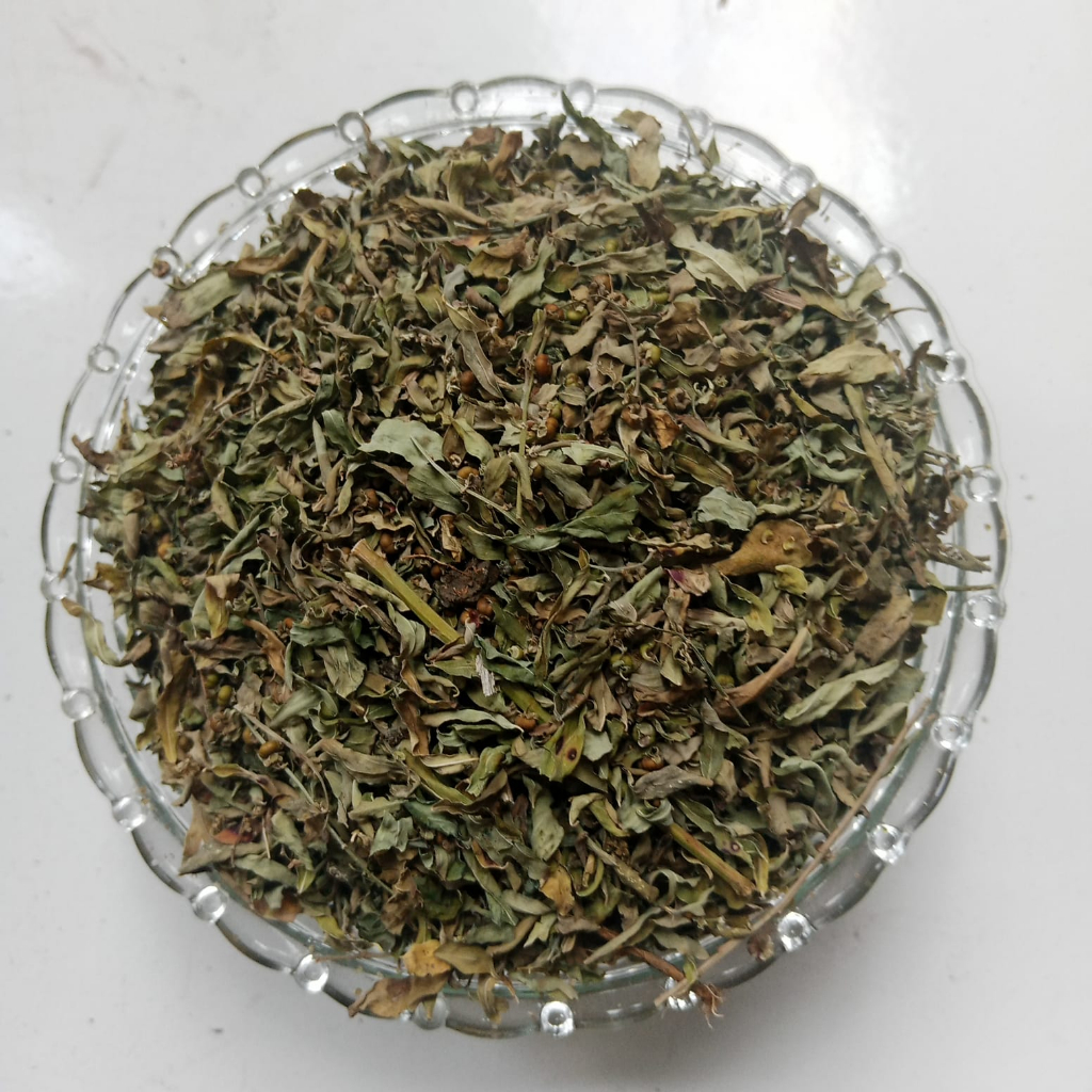 

MENIRAN KERING 100 GRAM - Phyllanthus Urinaria - MURNI