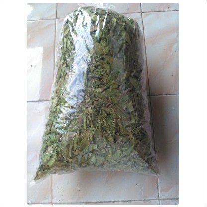 

Daun Mimba Kering -Neem Leaves