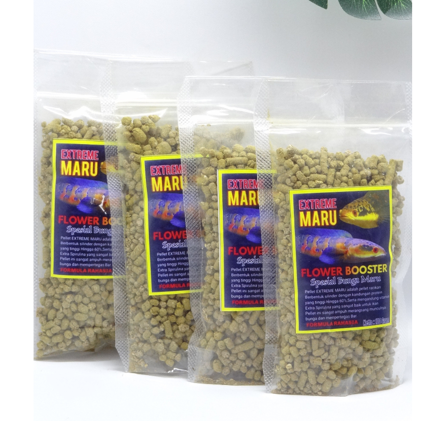 Artavela45 Extreme Maru Pelet Booster Bunga Maru 100 Gram