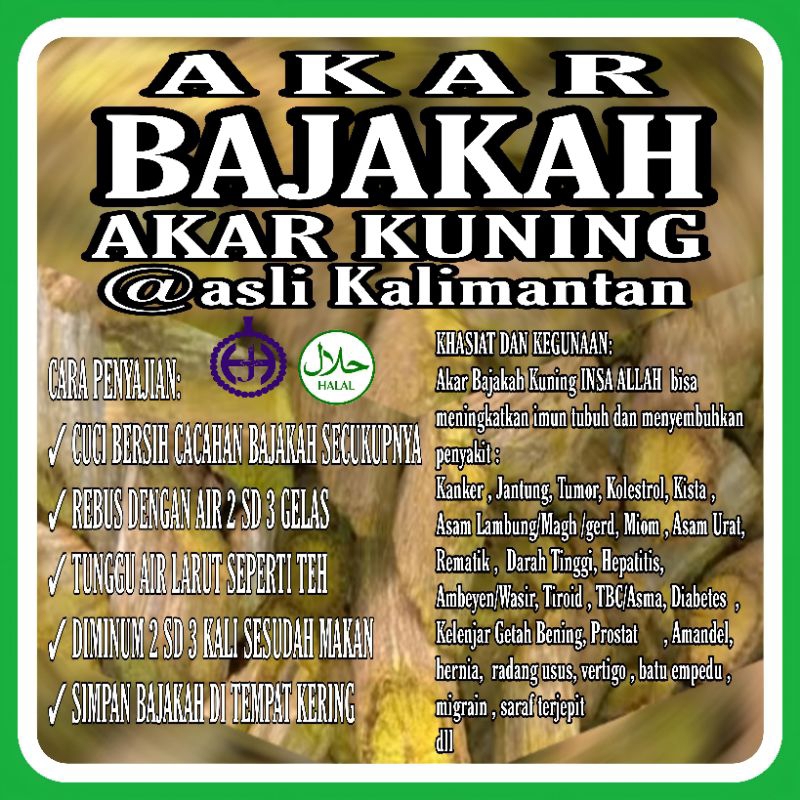 

AKAR BAJAKAH KUNING 1 KG ASLI KALIMANTAN KALAU TIDAK ASLI UANG KEMBALI