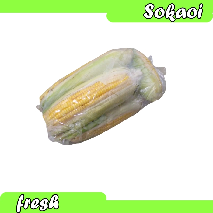 

SAYUR JAGUNG MANIS SWEET CORN JAGUNG SEGAR