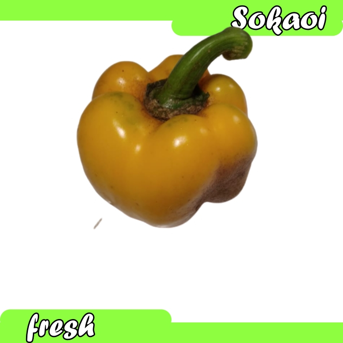 

PAPRIKA KUNING SEGAR FRESH YELLOW PEPPER