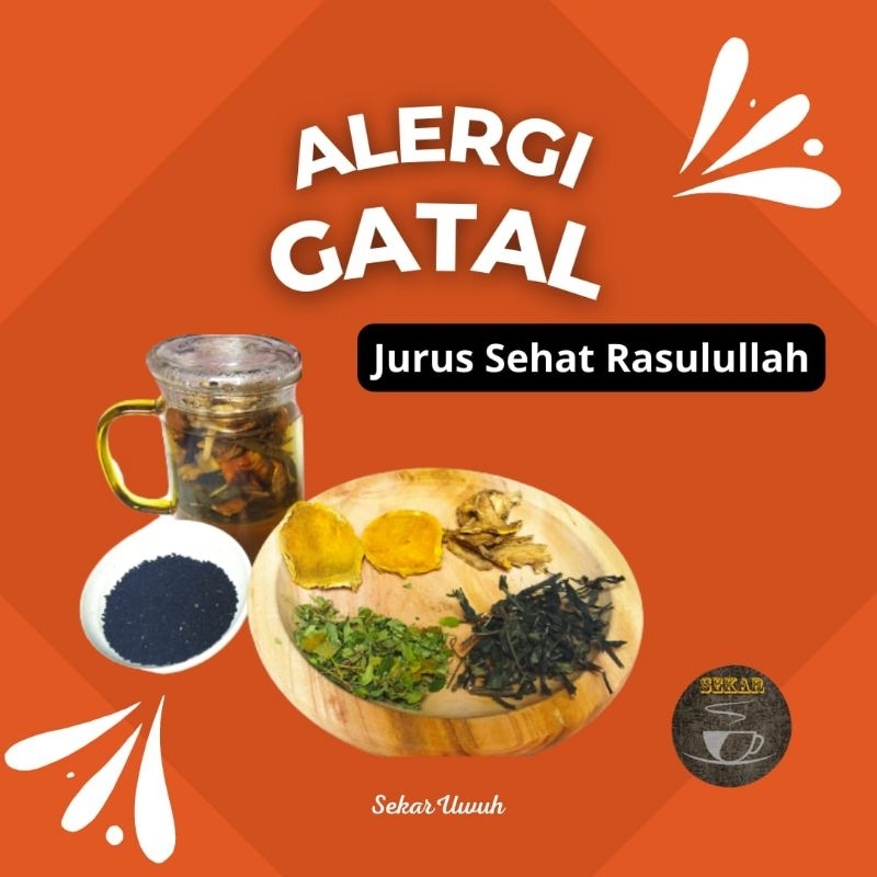 Obat Alergi Gatal Kulit Minuman Herbal Alami Organik