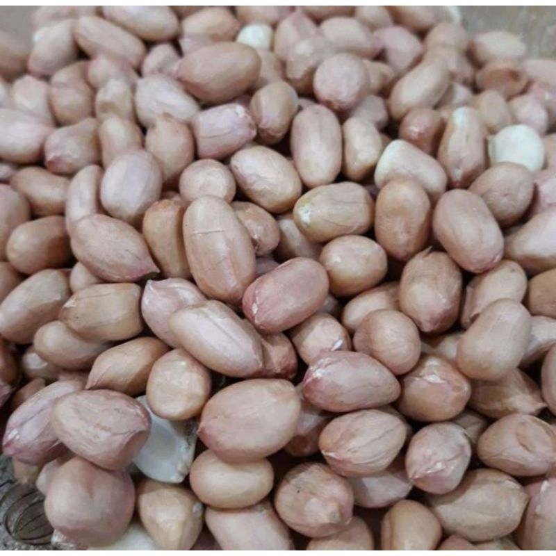 

Kacang Tanah Murah