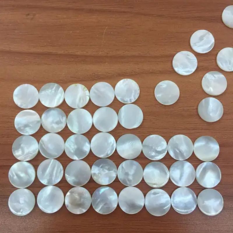 Kerang Laut Putih Perhiasan alami Kerang Bentuk Koin