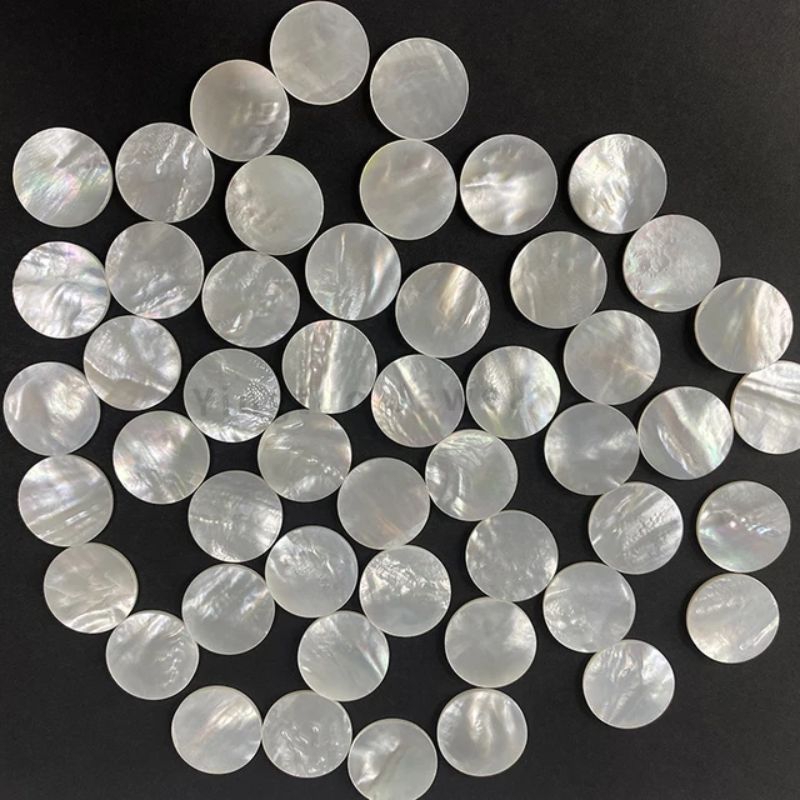 Kerang Laut Putih Perhiasan alami Kerang Bentuk Koin