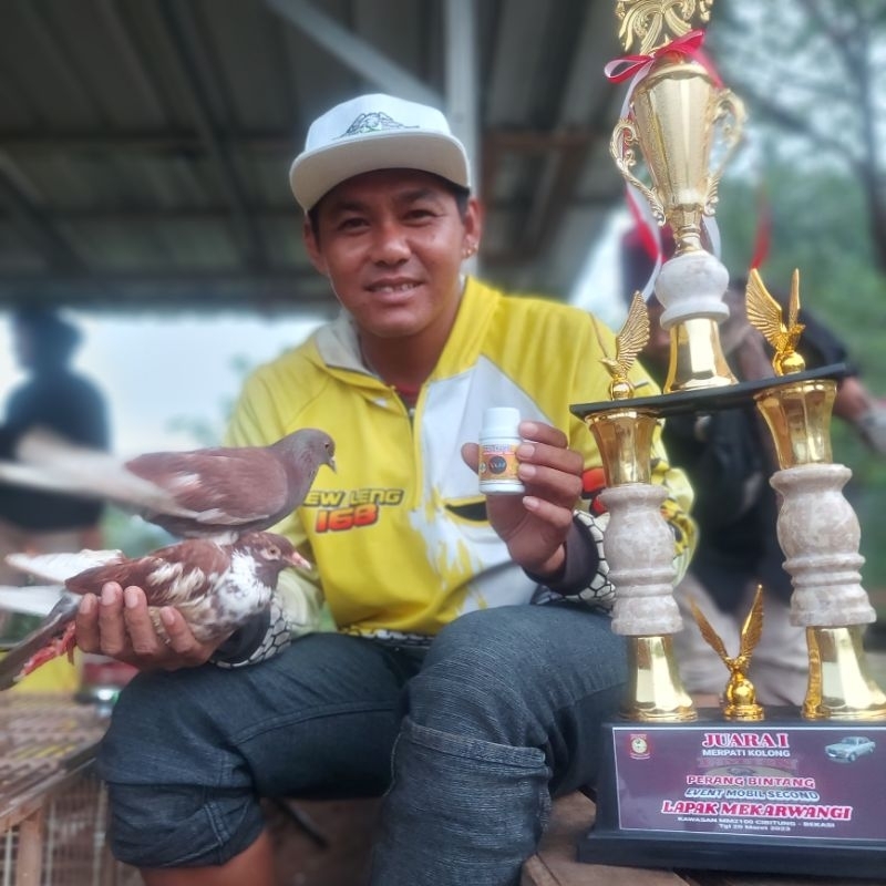 JAMU MERPATI PIL ALUS KOMBINASI 3 BOTOL BIKIN FULL STABIL DAN JUARA