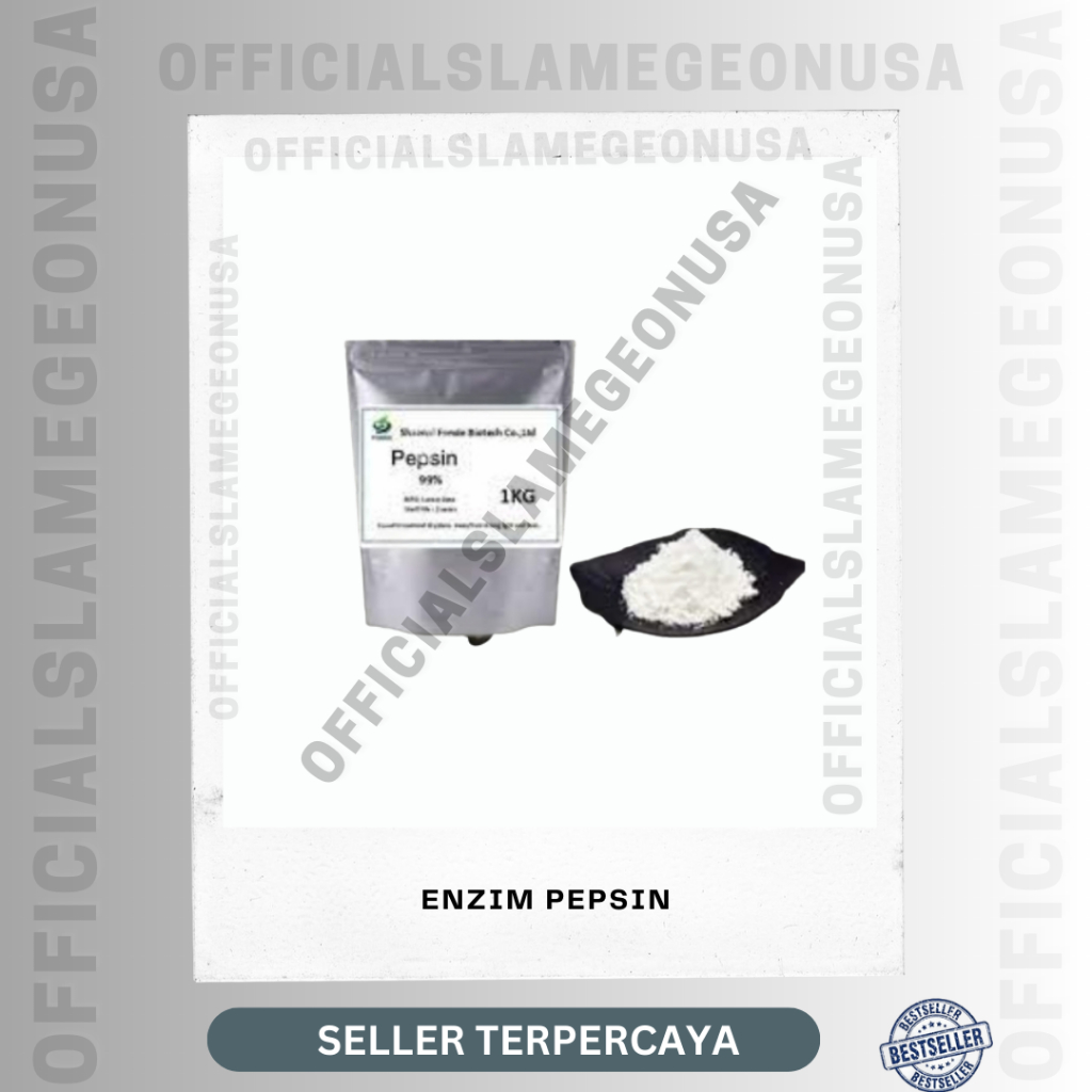 Enzim Pepsin/ enzim pencernaan