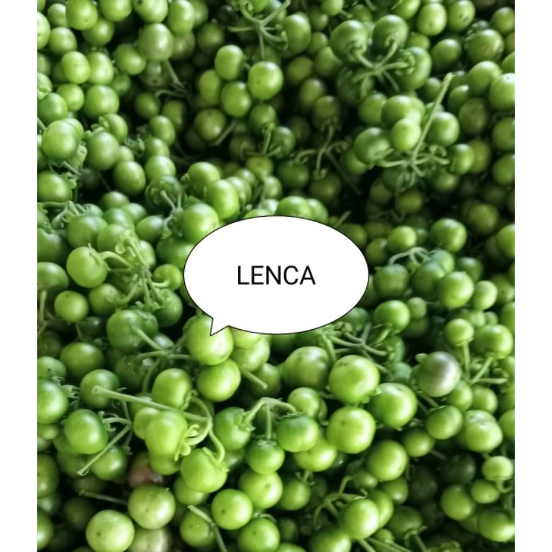 

LENCA 250 gr