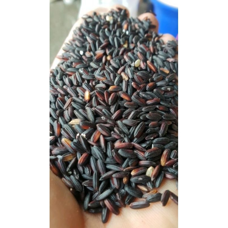 

KETEN HITAM