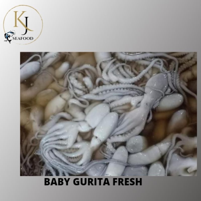 

Baby Gurita Fresh