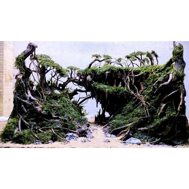 hardscape request untuk tank 40 cm