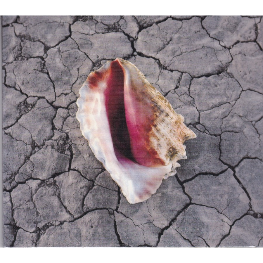 CD The Killers - Wonderful Wonderful