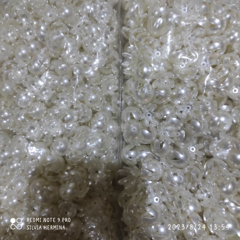 Mote Kelopak BW 1 Pon