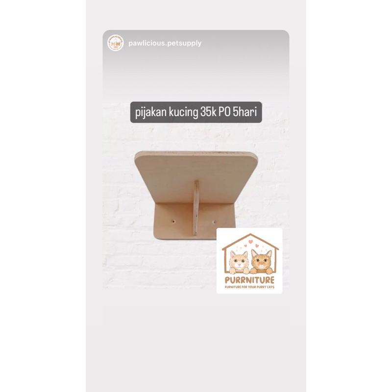 rumah rumahan kucing