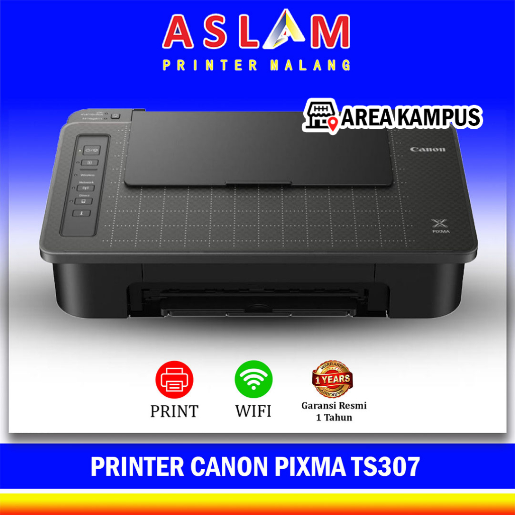 Printer Canon PIXMA TS307 TS 307 TS207 TS 207 New Original Ts 307 Ts-307 cartridge PG745s CL746s 745