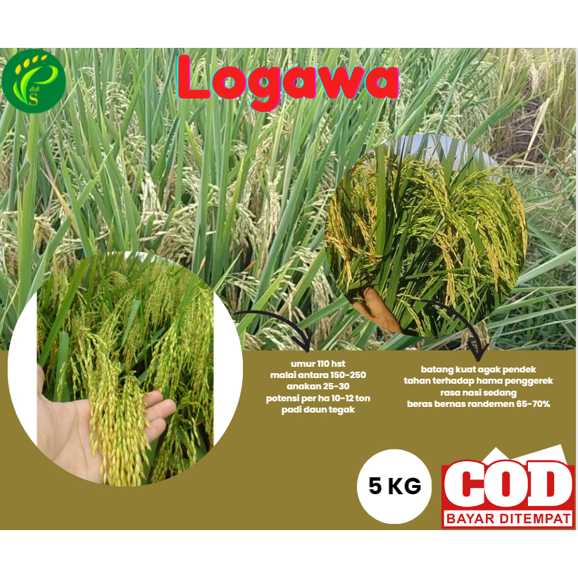 Biji Unggul Padi Super Logawa  Kemasan 5 Kg