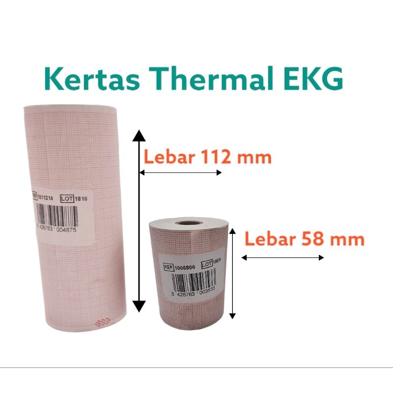 

Kertas EKG BTL Uk. 58mm/112mm/210mm Roll