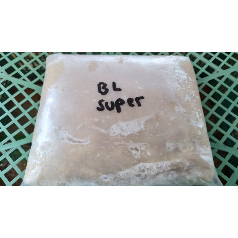 

IKAN TENGGIRI BL FRESH SUPER.GP2