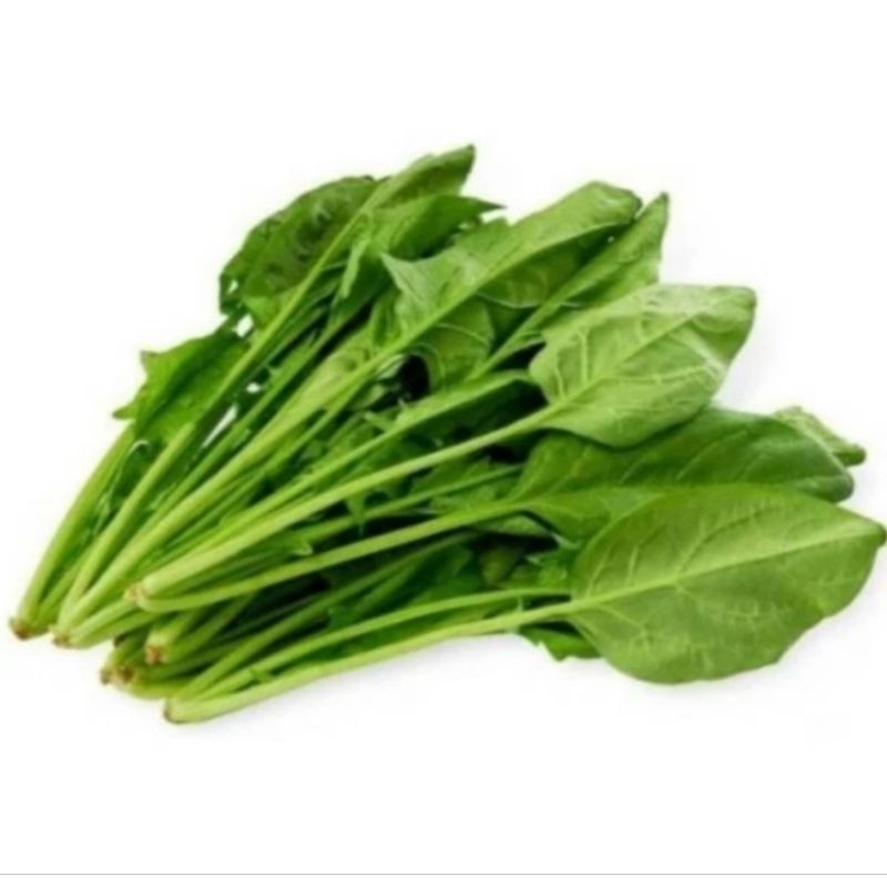 

Horenso/Bayam Jepang Organik 200gr