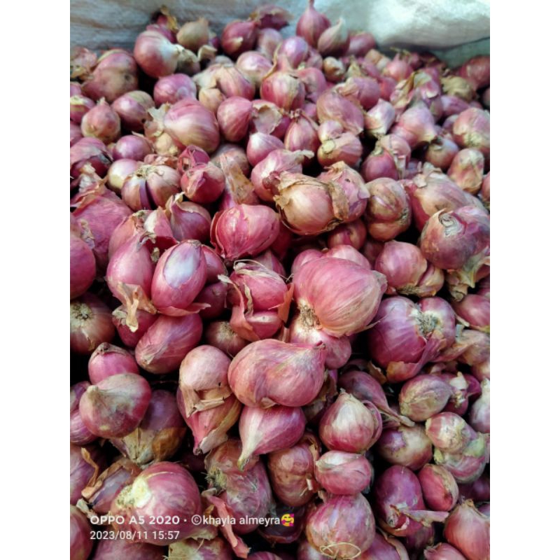 

bawang merah 1Kg