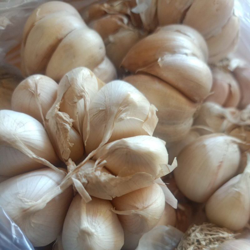 

bawang putih lokal setengah kilo