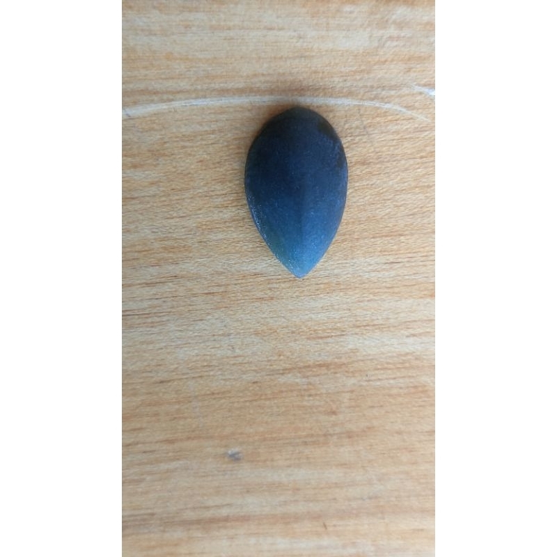 Bacan doko Gulau coklat potensi giwang