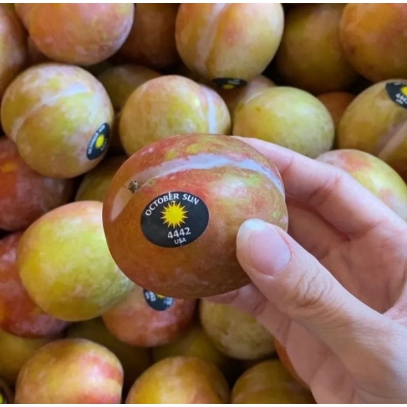 

green plum usa 2 pcs frufy