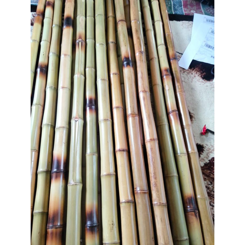 tongkat Pramuka bambu cendani