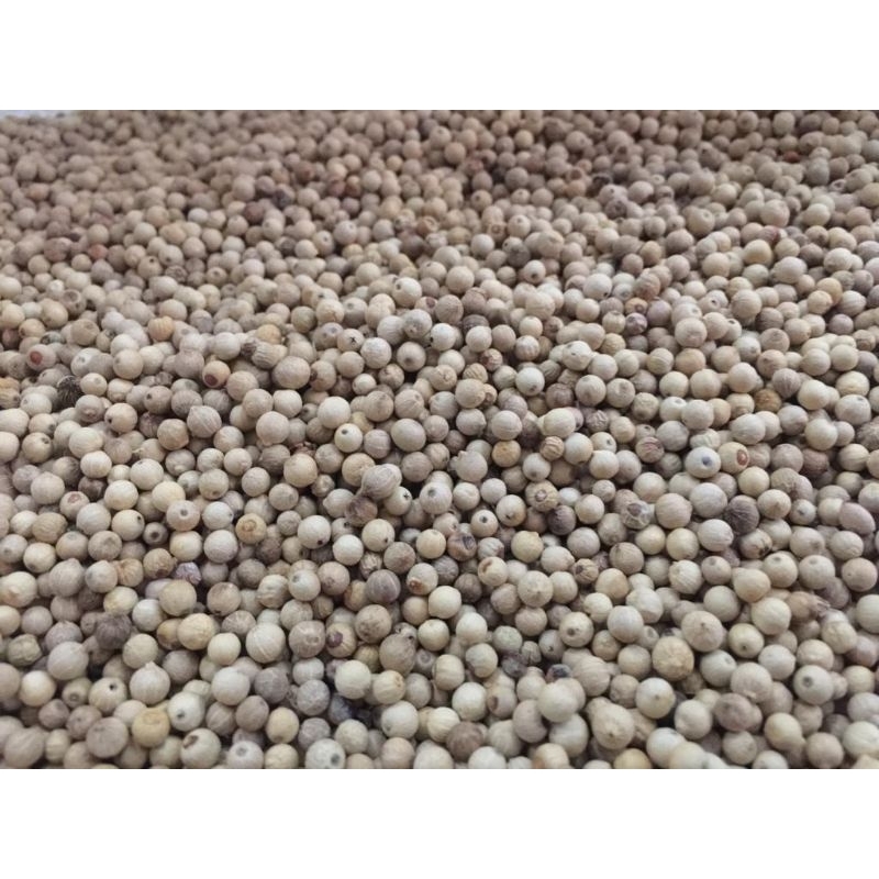 

lada putih butiran / white pepper asli 100%