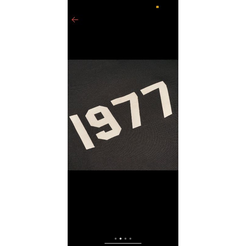 Hoodie Essentials 1977 Fear Of God