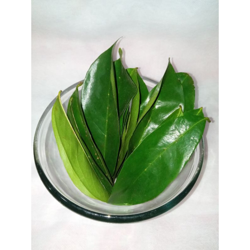 

daun sirsak segar 50 gr