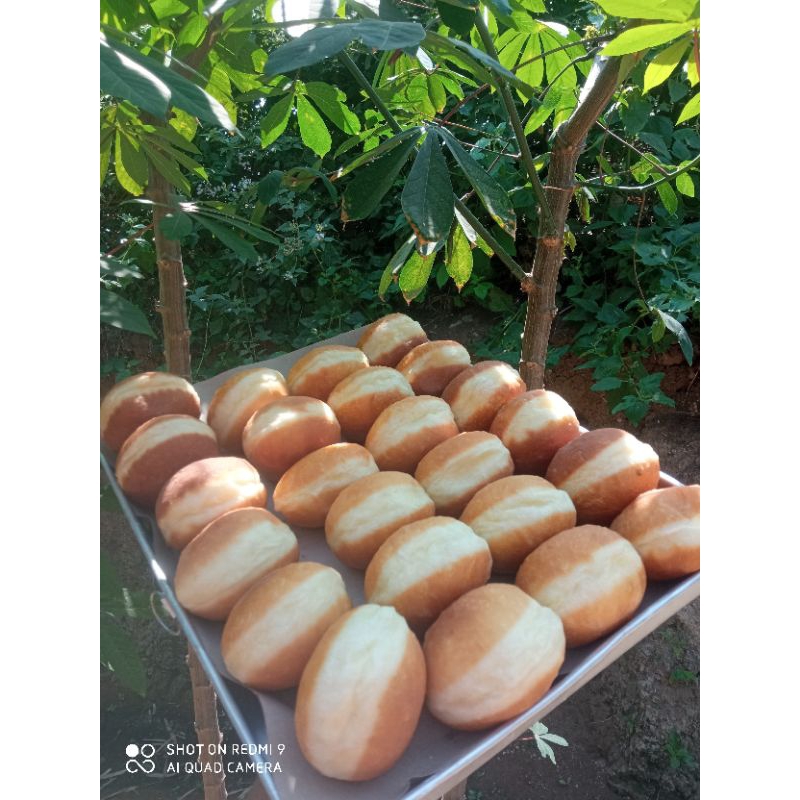 

donat bomboloni