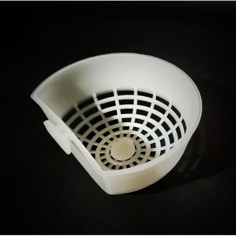 Sarang Bertelur Burung Kenari Elite Song