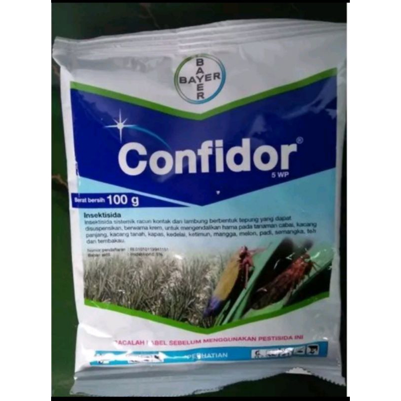 Confidor 5wp 100 gram insektisida