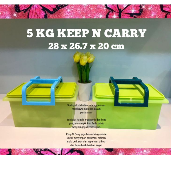 PROMO Tupperware  Keep n Carry 5KG