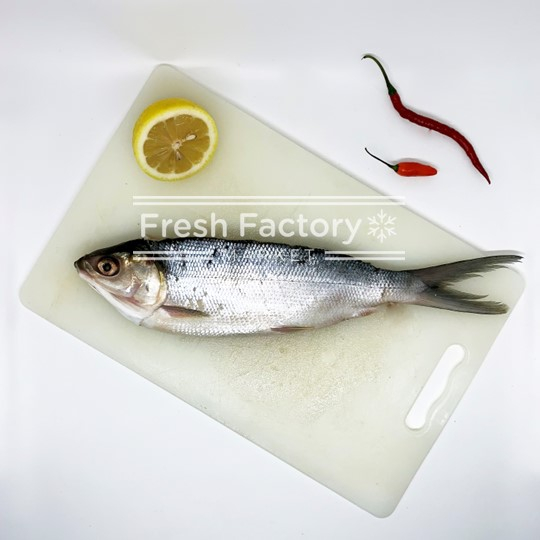 

Bandeng Cabut Duri (Milk Fish) 350 Gram by Freezy Fresh