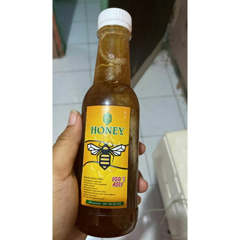

MADU MURNI GONG, Madu lebah besar ,Madu lebah apisdorsata, Honey
