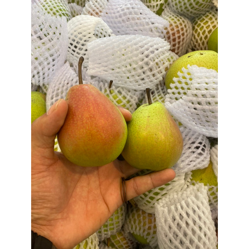 

promo pear forelle fresh | Pear forele garing manis segar 1 kg