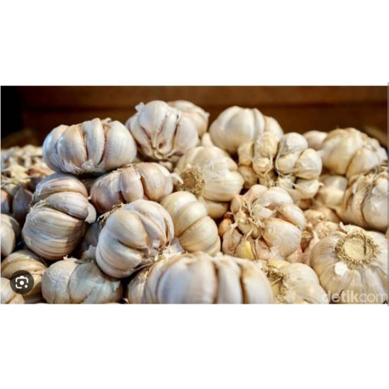 

bawang putih1/2kg