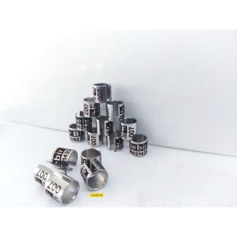 RING BURUNG MODEL BAJA BELAH ( MERPATI DEWASA )