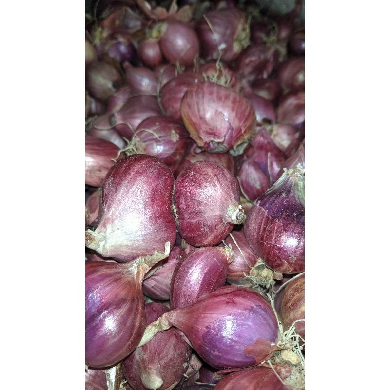 

bawang merah NGANJUK 1kg