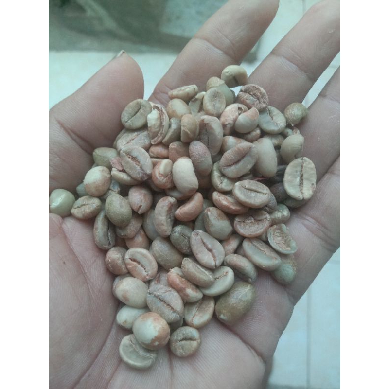 

biji kopi robusta/green bean robusta temanggung 1 kg