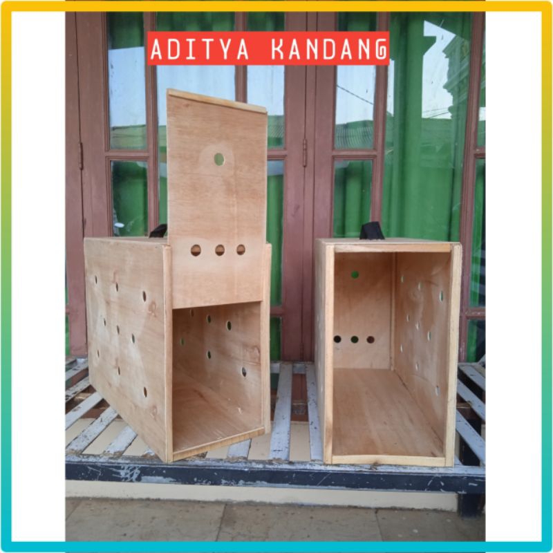 Box pengiriman ayam bangkok ayam jago