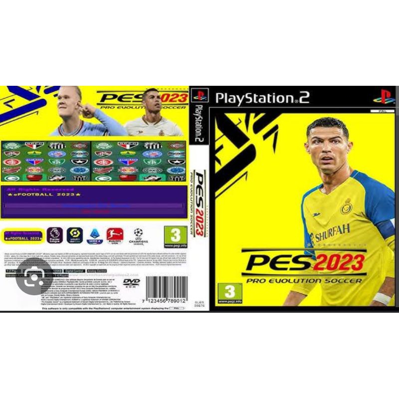 flashdisk ps2 bisa request