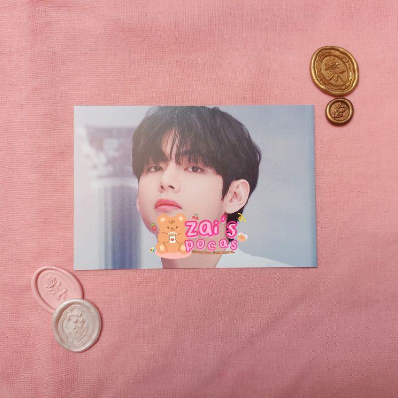 taehyung bts the best postcard / bts the best merch / bts photocard official