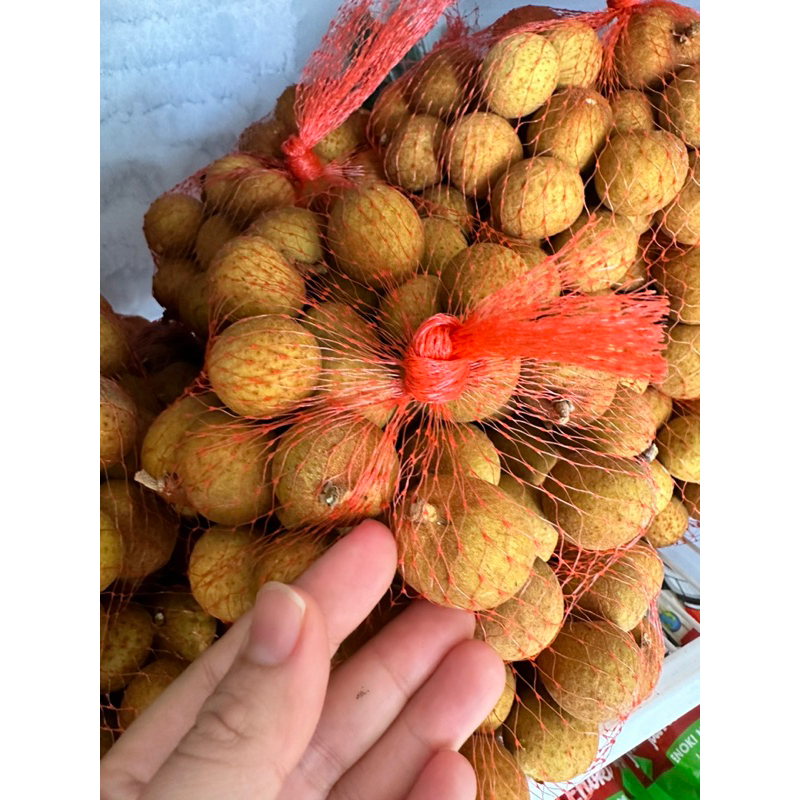 

Lengkeng mas bangkok