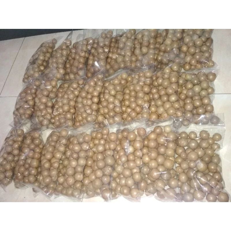 

kacang Macadamia belum kupasan kemasan 250 gram