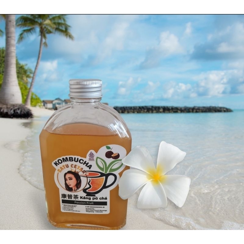 

KOMBUCHA PASSION FRUIT 250ML